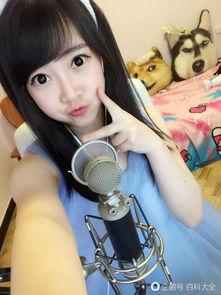 熊猫 女主播,网络红人的魅力与影响力