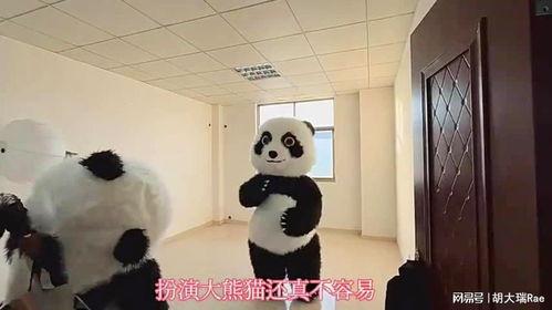 功夫熊猫幕后花絮,幕后秘境，笑料横生的创作之旅