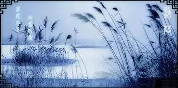 诗经蒹葭的视频背景,白露为霜——诗经蒹葭视频背景概述