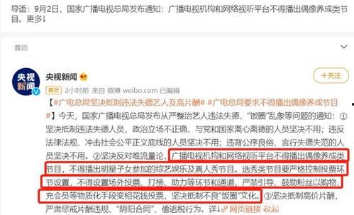 娱乐圈禁令,娱乐圈禁令下的行业变革与未来展望