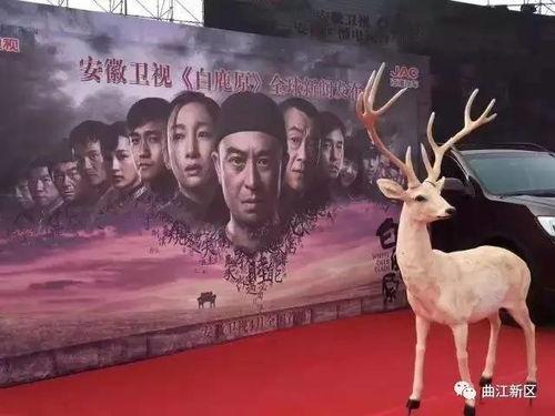 白鹿原花絮视频,幕后故事与精彩瞬间